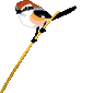 S㒹