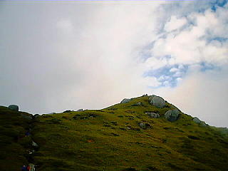 翁岳