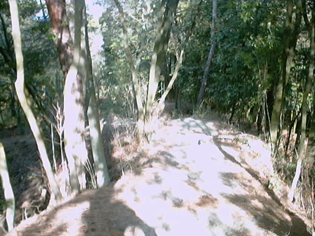 さんさくの路