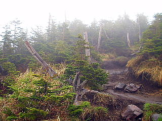 雨に煙る風景