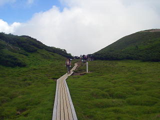 静高平の木道