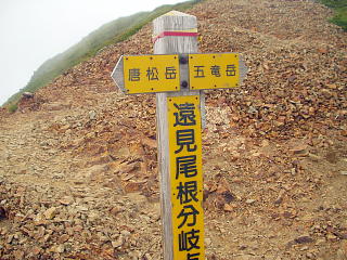 遠見尾根分岐点