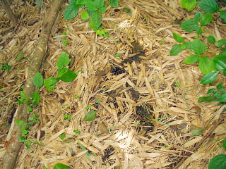 K̗ߕ(4)i2003.8.13j