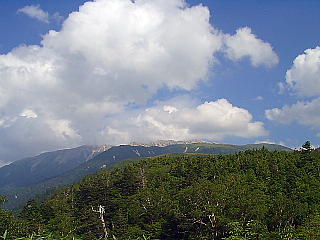 厖大な薬師岳