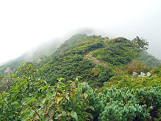 縦走路