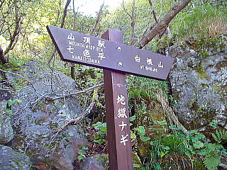 地獄ナギの標識