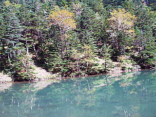阿弥陀ヶ池