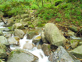 不動沢