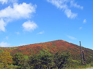 紅葉と青い空と雲