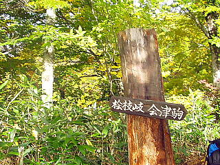 桧枝岐会津駒