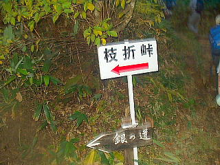 枝折峠への道