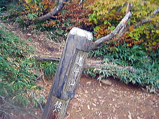道行山(標高1298m)
