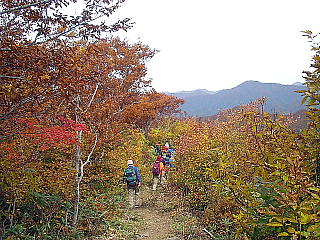 紅葉の道を行く