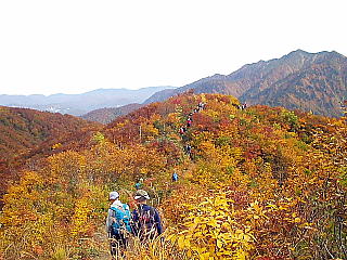 全山紅葉