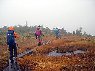 池塘と木道