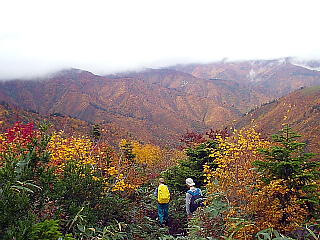 紅葉の谷間を歩く