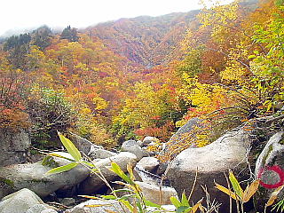 渓流と紅葉