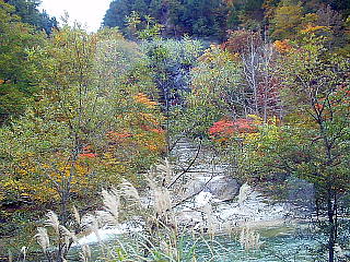 二岐川の合流点