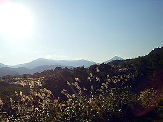 ススキの向うに三角形の火打山が