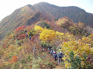 紅葉の尾根筋を歩く