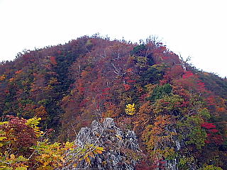 全山紅葉