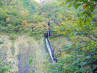滝