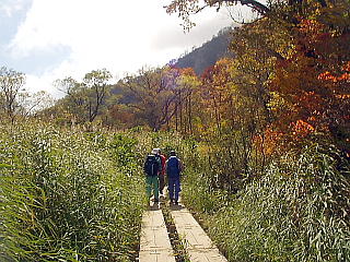 木道を歩く