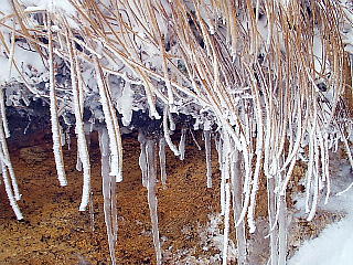 氷柱が垂れ下がっている