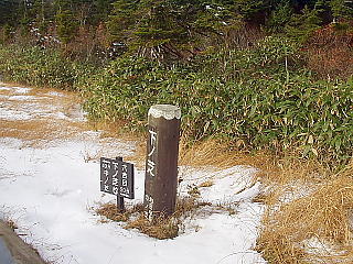 下の芝の標識