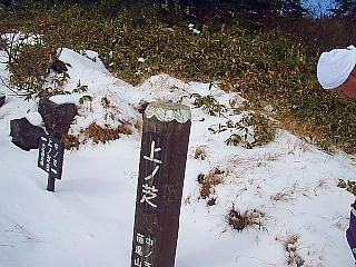上の芝