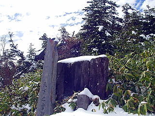 切り株に雪が