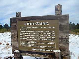 苗場山の高原湿原