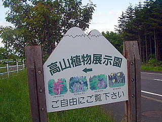 高山植物展示園