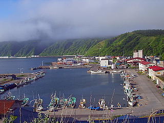 鴛泊港