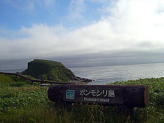 ホンモシリ島