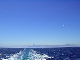 礼文島
