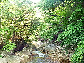 本谷川渓谷