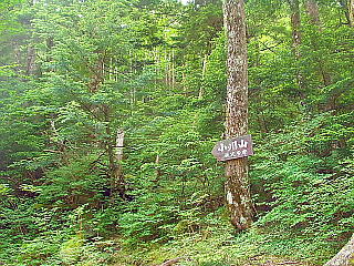 小川山への分岐