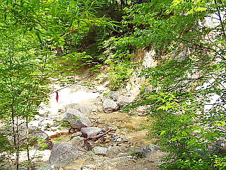 天鳥川源頭
