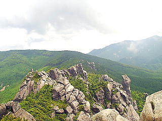 頂上付近