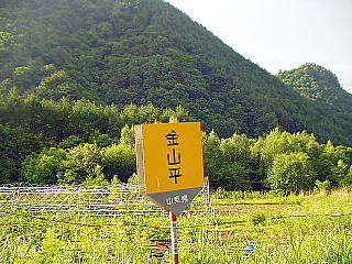 金山平