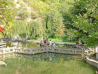 公園