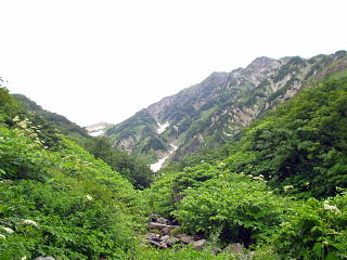 山と雪渓