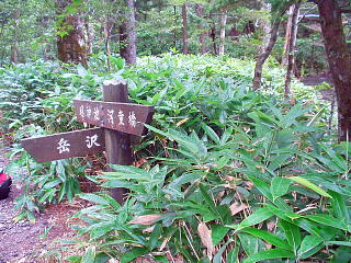 標識