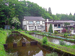 釣堀