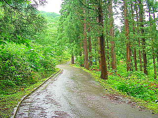黒姫の森前の4m道路