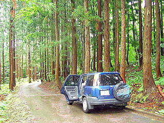 愛車