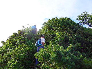 尾根