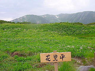 花見平