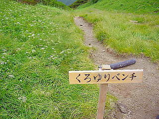 くろゆりベンチ
